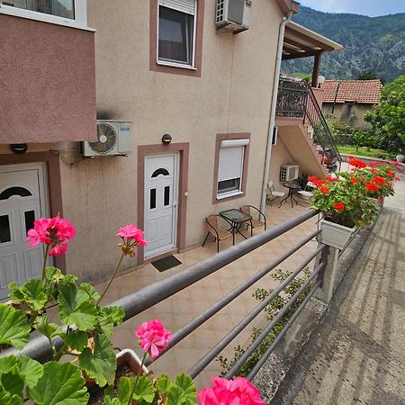 Apartment Aleksandar โกตอร์ ภายนอก รูปภาพ